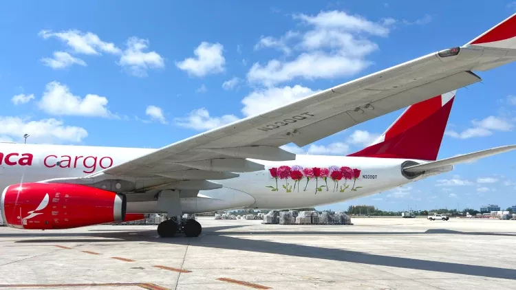 Avianca Cargo y los envíos de flores desde Colombia a Estados Unidos
