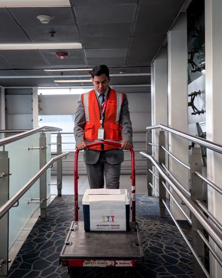 Avianca y su trabajo más humanitario: el transporte de órganos
